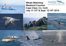 IWDG Whale Watching Weekend Courses 2013