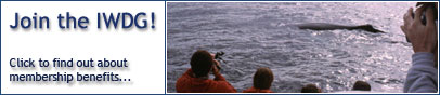 Join the IWDG! Find out more about membership benefits...