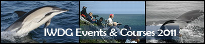 Whale watching courses and holidays...