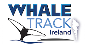 IWDG Whale Track